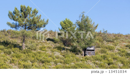hidden black hut for big game hunting, wooden made hidden black hut for big game hunting, wooden made 13451034