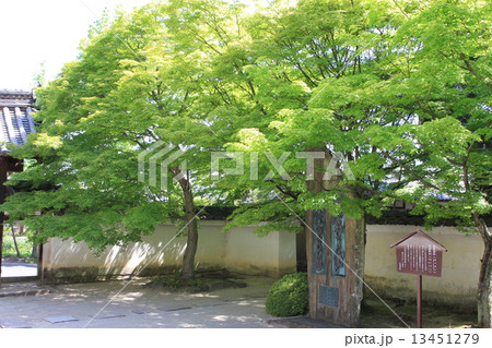 一休寺 13451279