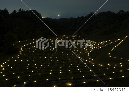 キャンドルライトアップ 千早赤阪村 下赤坂棚田 キャンドルライトアップ 千早赤阪村 下赤坂棚田 13452335
