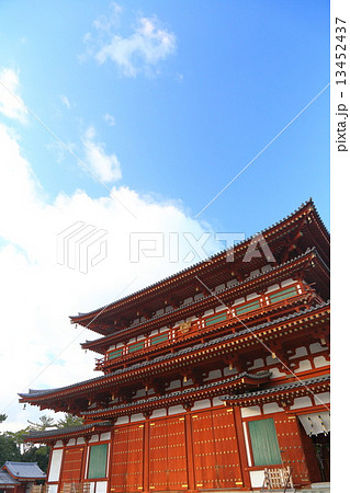 奈良県:薬師寺の風景 奈良県:薬師寺の風景 13452437