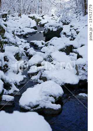 東京雪景色-6 13452779