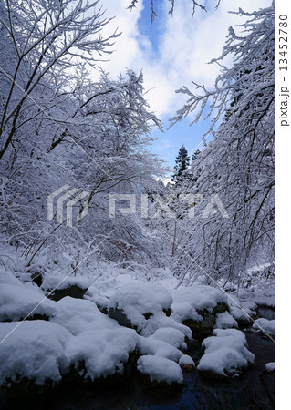 東京雪景色ー7 13452780