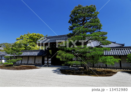 Japanese garden 13452980