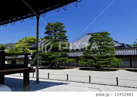 Japanese garden 13452981