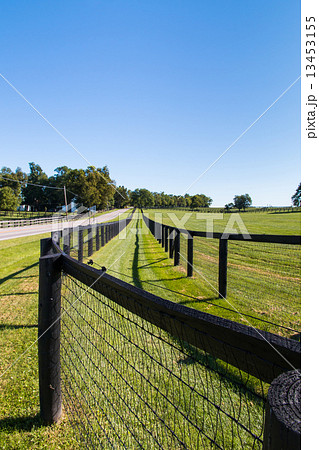 Double fence at horse farm. 13453155