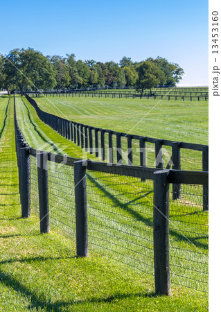 Double fence at horse farm. 13453160