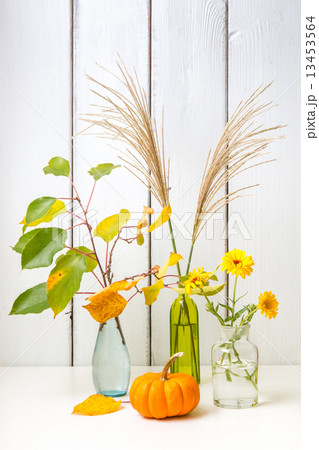 Autumn still life 13453564