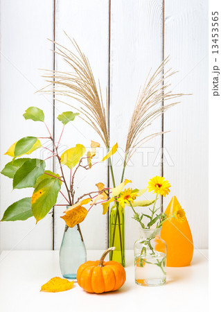 Autumn still life 13453565