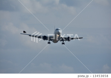 バードアタック バードアタック 13453658