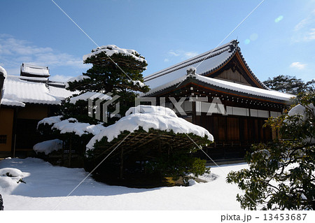 陸舟の松 13453687