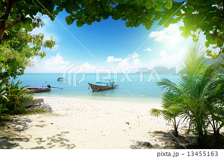long boat on Phi Phi island in Thailand 13455163