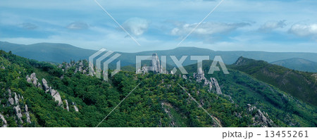 Summer landscape Summer landscape 13455261