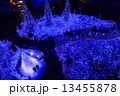 Christmas LED Lights  Illumination in Tokyo 13455878