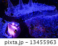 Christmas LED Display in Tokyo 13455963