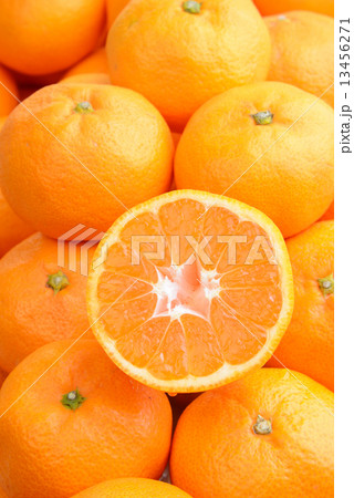 ミカン ミカン 13456271