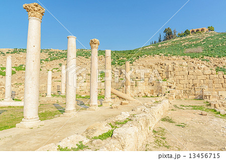 タバカット・ファハル(ヨルダン、イルビッド西) タバカット・ファハル(ヨルダン、イルビッド西) 13456715