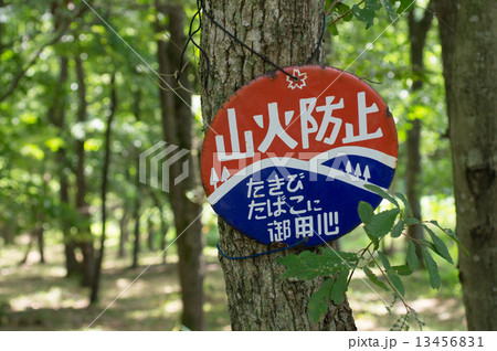 山火事防止看板 13456831