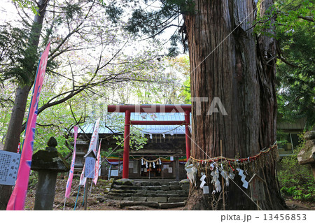 磐椅神社 磐椅神社 13456853