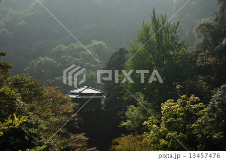 行道山浄因寺の清心亭 行道山浄因寺の清心亭 13457476