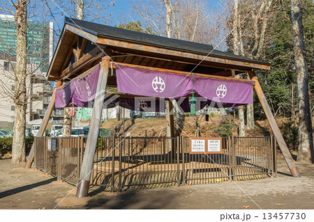 氷川の杜公園 13457730