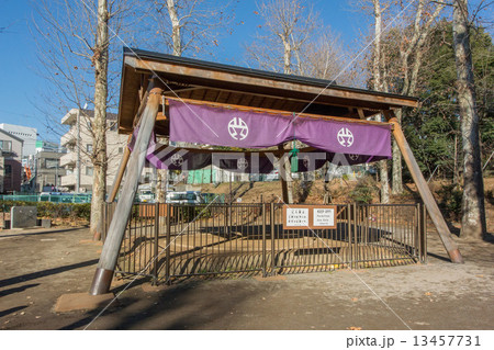 氷川の杜公園 13457731