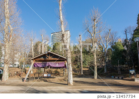 氷川の杜公園 13457734