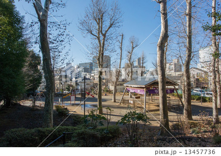 氷川の杜公園 氷川の杜公園 13457736