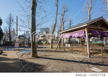 氷川の杜公園 氷川の杜公園 13457738