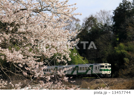 春の烏山線 13457744