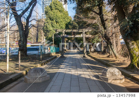 渋谷氷川神社 渋谷氷川神社 13457998