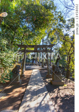 渋谷氷川神社 13458002