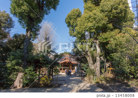 東京都渋谷区本町の渋谷氷川神社 東京都渋谷区本町の渋谷氷川神社 13458008
