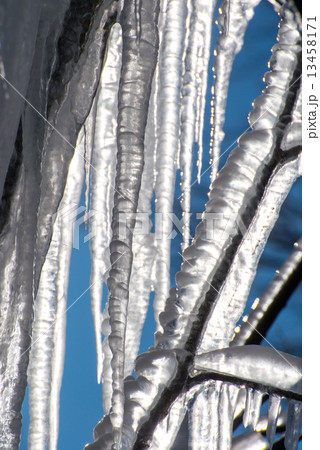 極寒つららのオブジェ 極寒つららのオブジェ 13458171