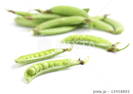 Soybean isolated in white background Soybean isolated in white background 13458893
