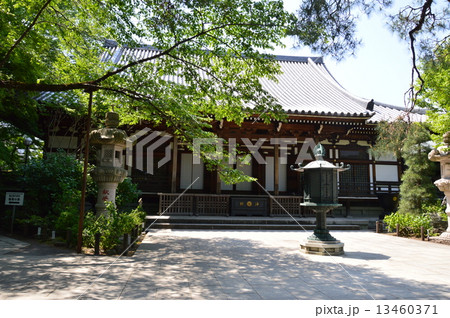 高幡不動尊 金剛寺 の 大日堂 総本堂 日野市高幡 東京都 の写真素材 13460371 Pixta