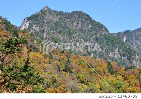 紅葉の西沢渓谷より鶏冠山 13460705