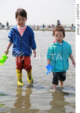 家族で潮干狩り 13460724
