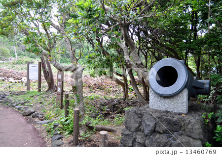 城ヶ崎海岸ピクニカルコース 城ヶ崎海岸ピクニカルコース 13460769