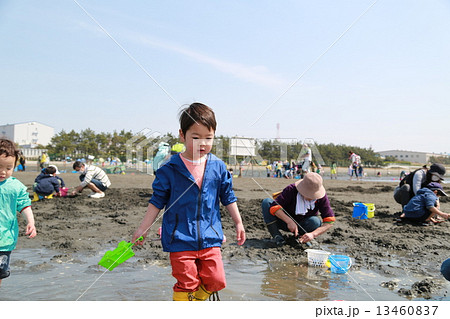 家族で潮干狩り 13460837