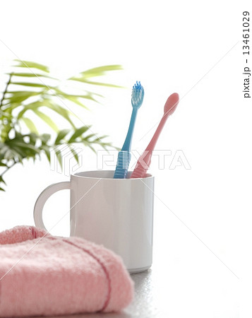 朝の洗面所 朝の洗面所 13461029