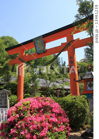 霊山寺 霊山寺 13461239