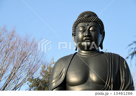 乗蓮寺の東京大仏(赤塚大仏) 乗蓮寺の東京大仏(赤塚大仏) 13461266