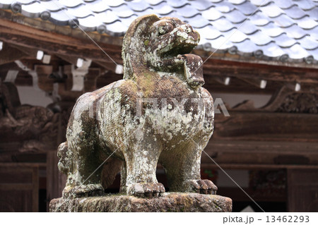 出雲市「一畑薬師」薬師本堂前の狛犬 出雲市「一畑薬師」薬師本堂前の狛犬 13462293