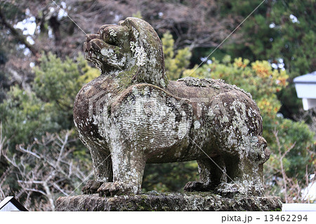 出雲市「一畑薬師」薬師本堂前の狛犬 出雲市「一畑薬師」薬師本堂前の狛犬 13462294