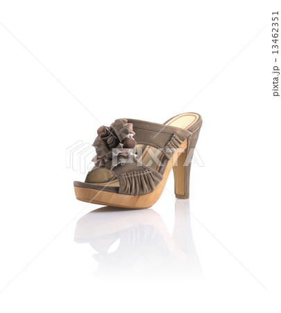 Womens fashion shoes 13462351