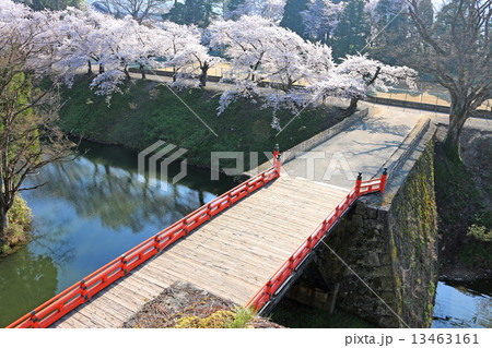 廊下橋と桜 13463161