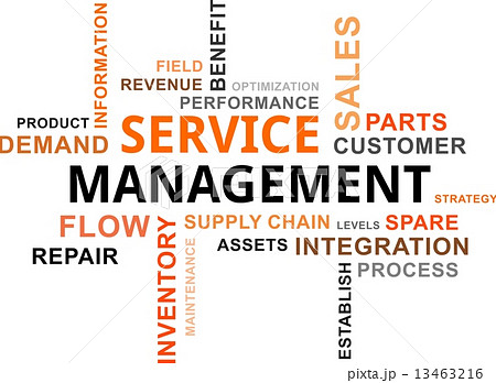 word cloud - service management word cloud - service management 13463216