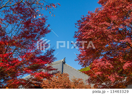 犬山寂光院の紅葉 13463329