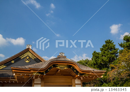 名古屋城　本丸御殿 13463345