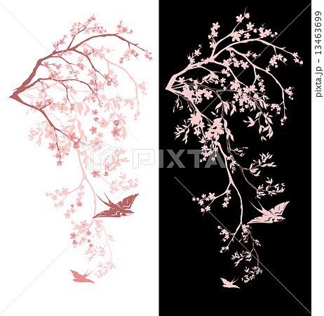 spring season blossom decorative design - blooming sakura branches vector design 13463699